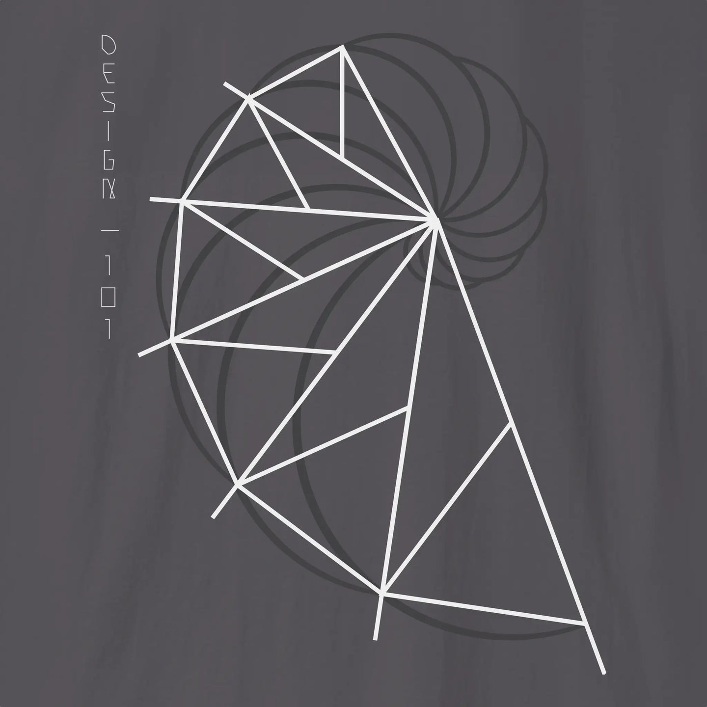 Golden Ratio Spiral | Divine Proportions T-Shirt