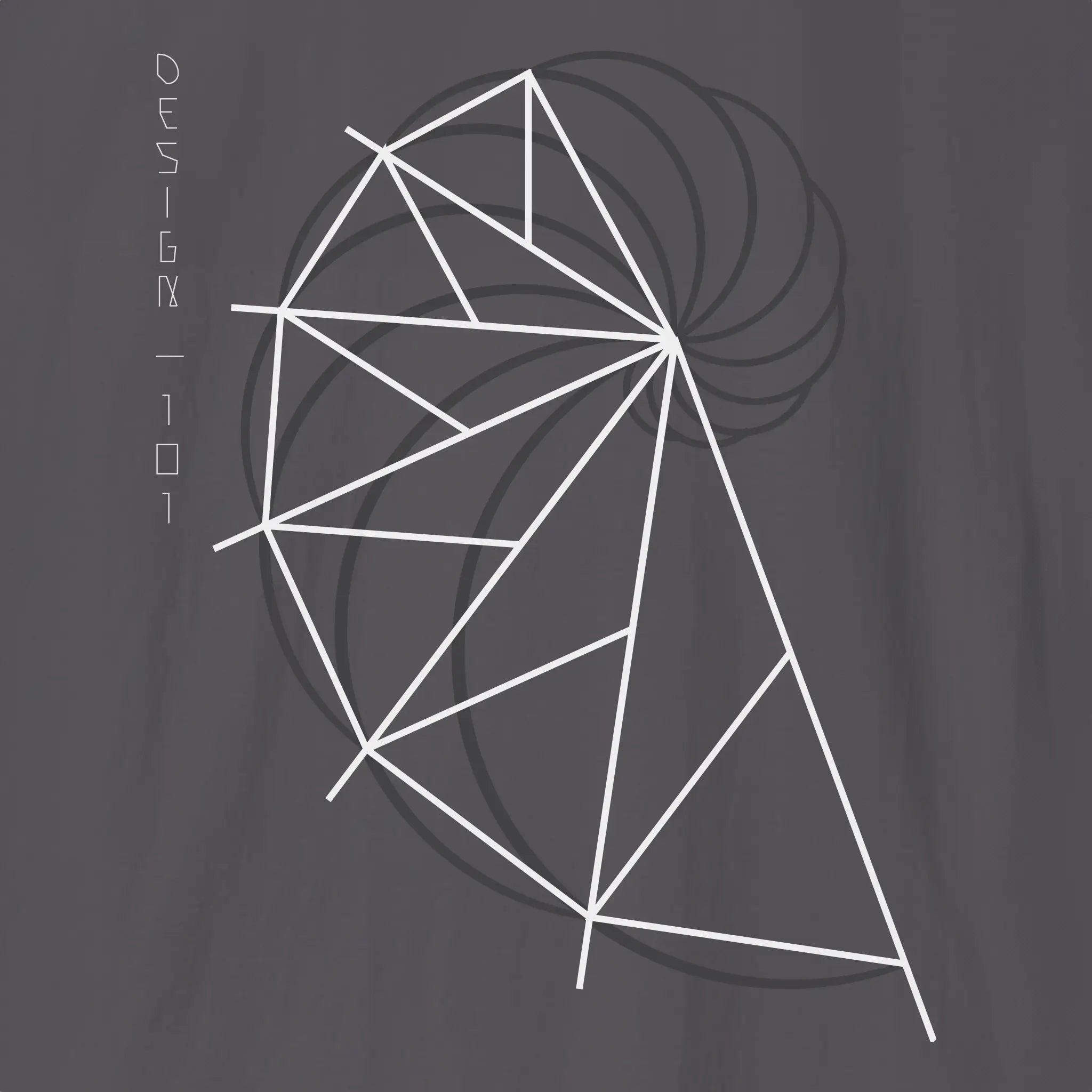 Golden Ratio Spiral | Divine Proportions T-Shirt