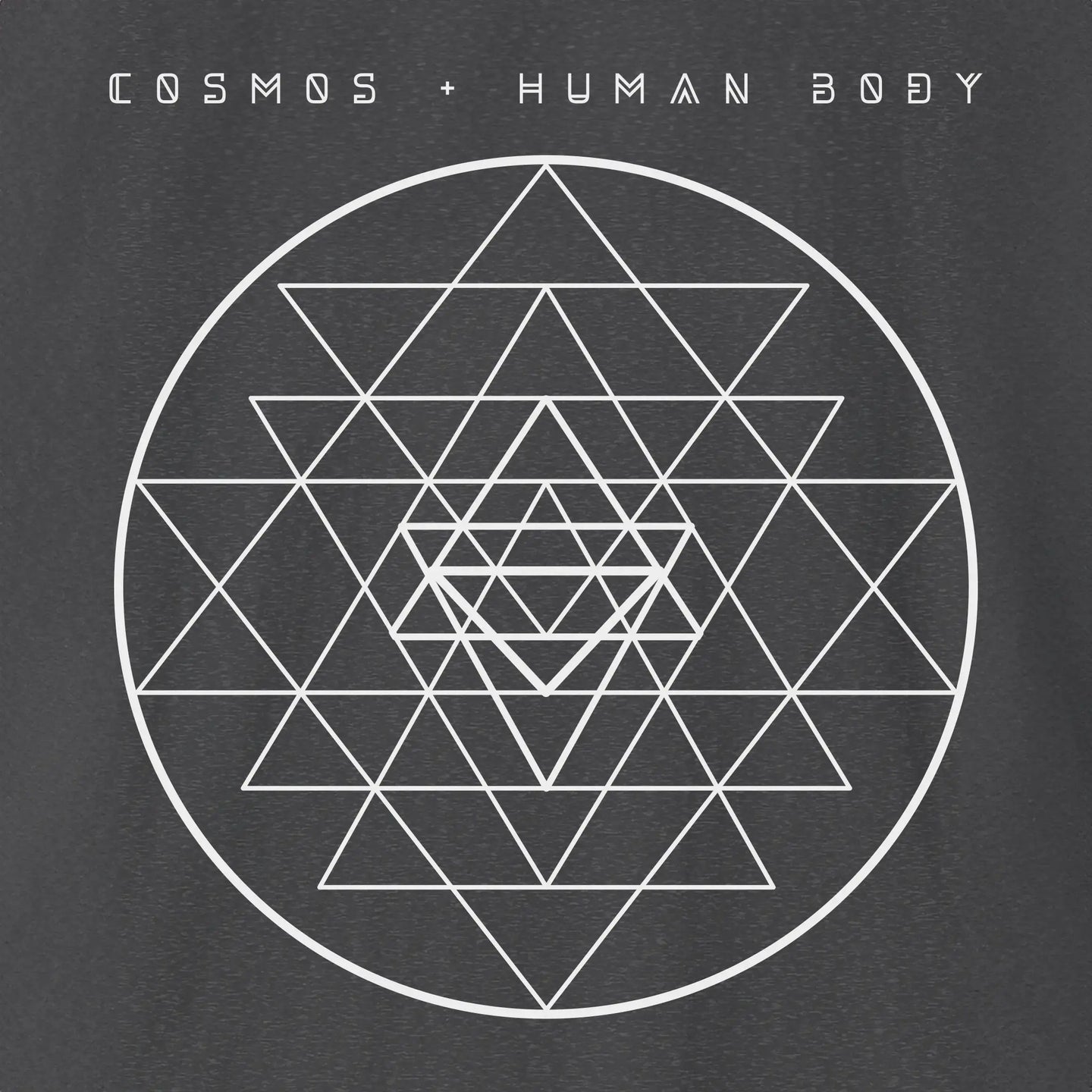 Cosmos + Human Body | Divine Proportions T-Shirt