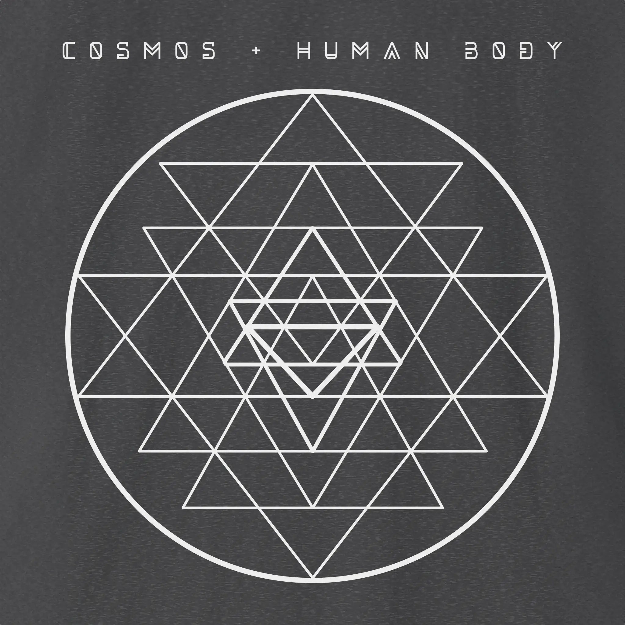Cosmos + Human Body | Divine Proportions T-Shirt