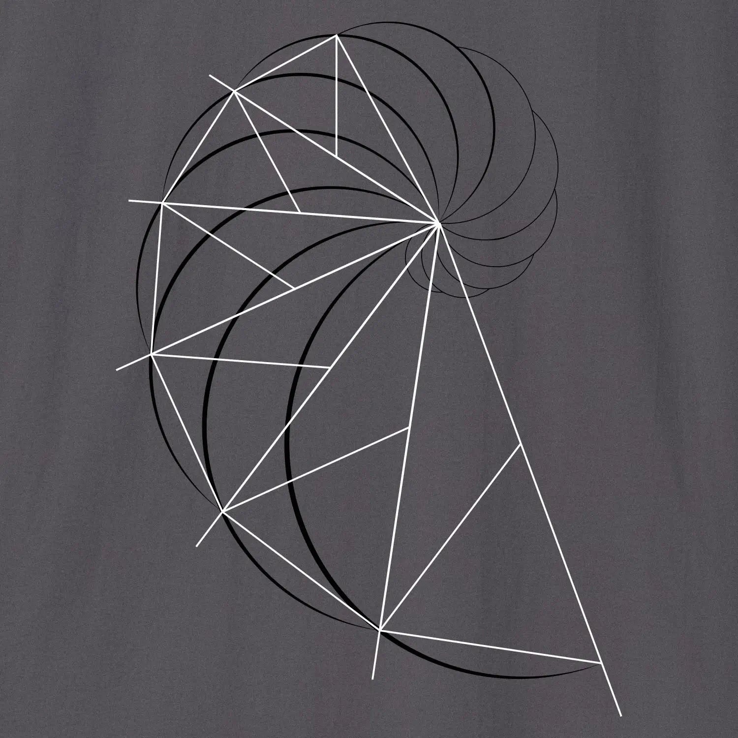 Printify Golden Ratio Spiral | Divine Proportions T-Shirt