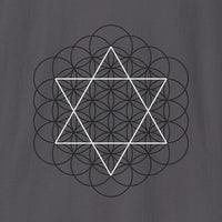 Xpress Your Passion Creation Blueprint | Divine Proportions T-Shirt