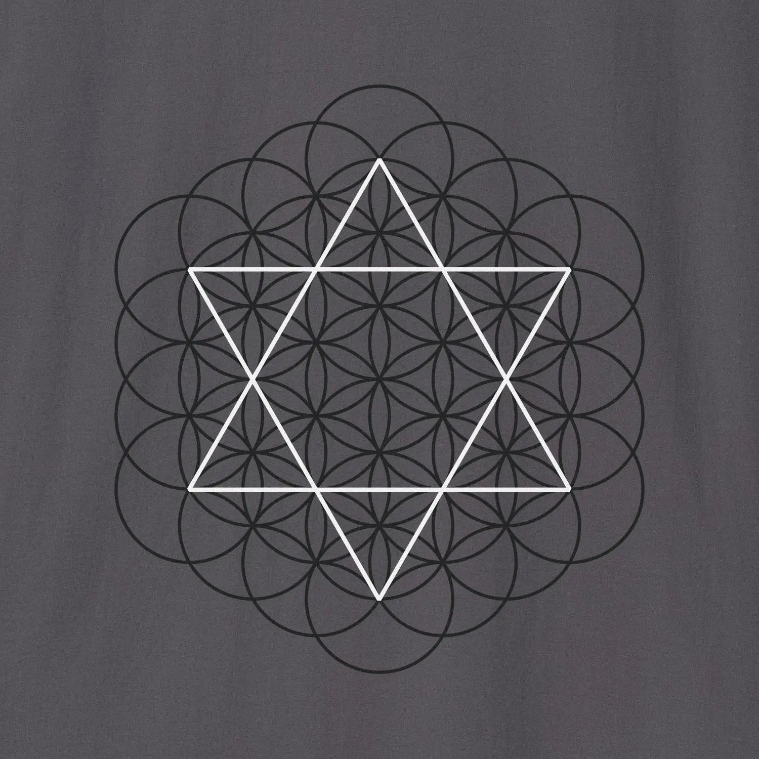 Xpress Your Passion Creation Blueprint | Divine Proportions T-Shirt