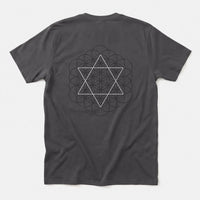 Xpress Your Passion Creation Blueprint | Divine Proportions T-Shirt Charcoal / S