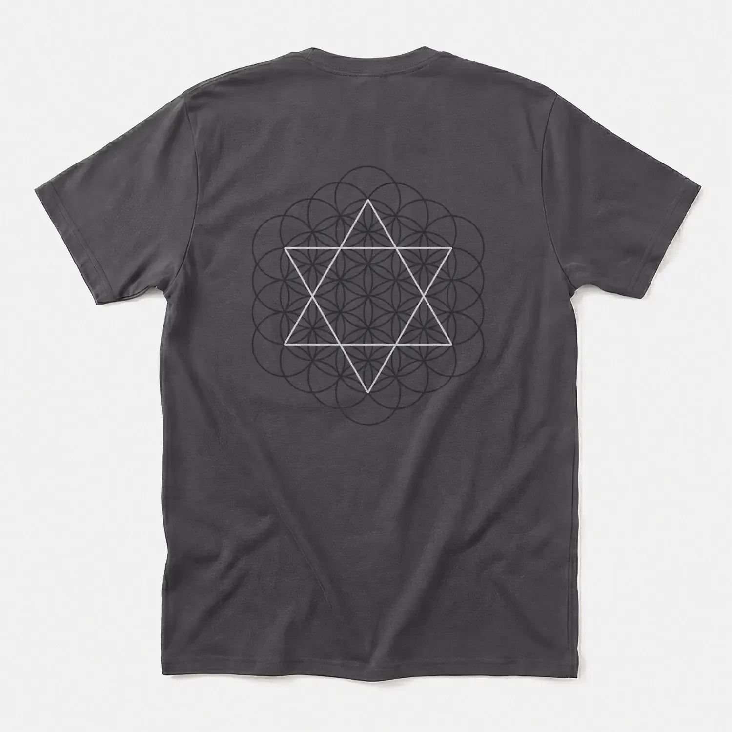 Xpress Your Passion Creation Blueprint | Divine Proportions T-Shirt Charcoal / S