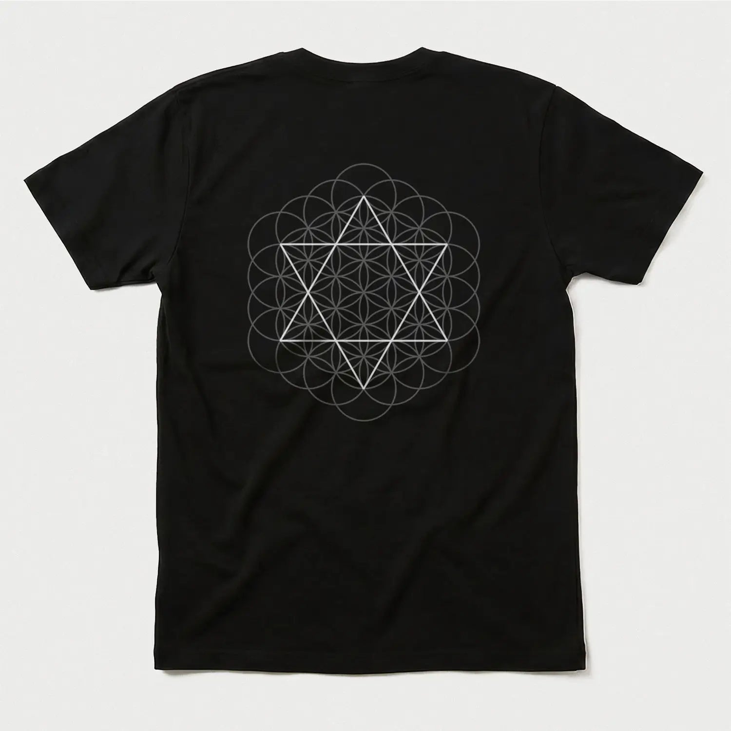 Xpress Your Passion Creation Blueprint | Divine Proportions T-Shirt Black / S