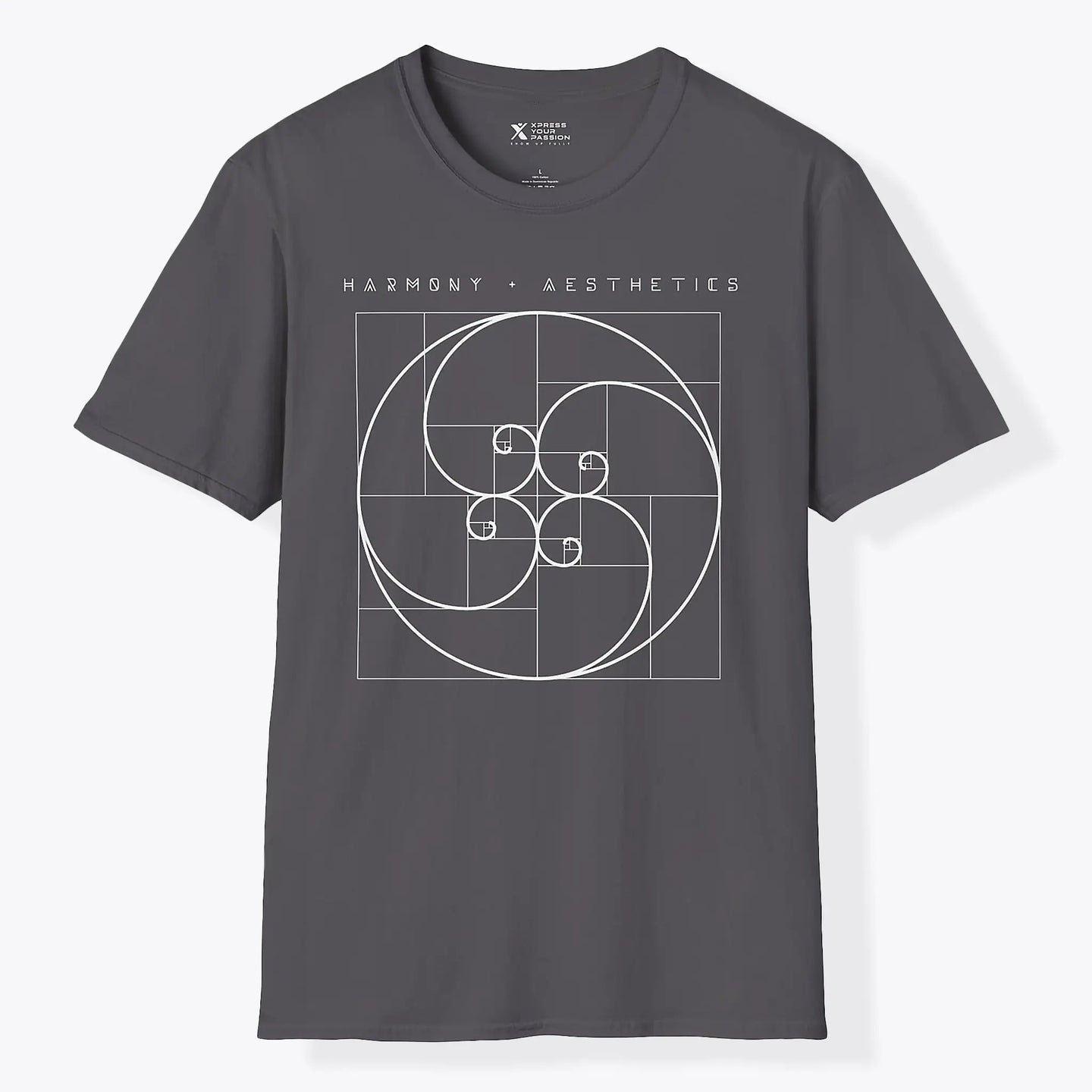 Xpress Your Passion Harmony + Aesthetics | Divine Proportions T-Shirt Charcoal / S