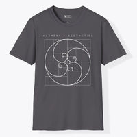Xpress Your Passion Harmony + Aesthetics | Divine Proportions T-Shirt Charcoal / S
