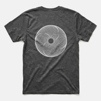 Xpress Your Passion Torus | Divine Proportions T-Shirt Dark Heather / S
