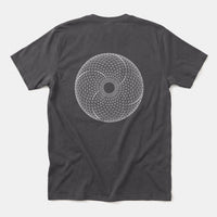 Xpress Your Passion Torus | Divine Proportions T-Shirt Charcoal / S