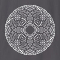 Xpress Your Passion Torus | Divine Proportions T-Shirt
