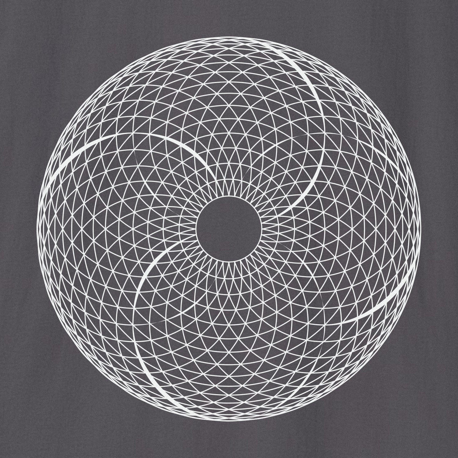 Xpress Your Passion Torus | Divine Proportions T-Shirt
