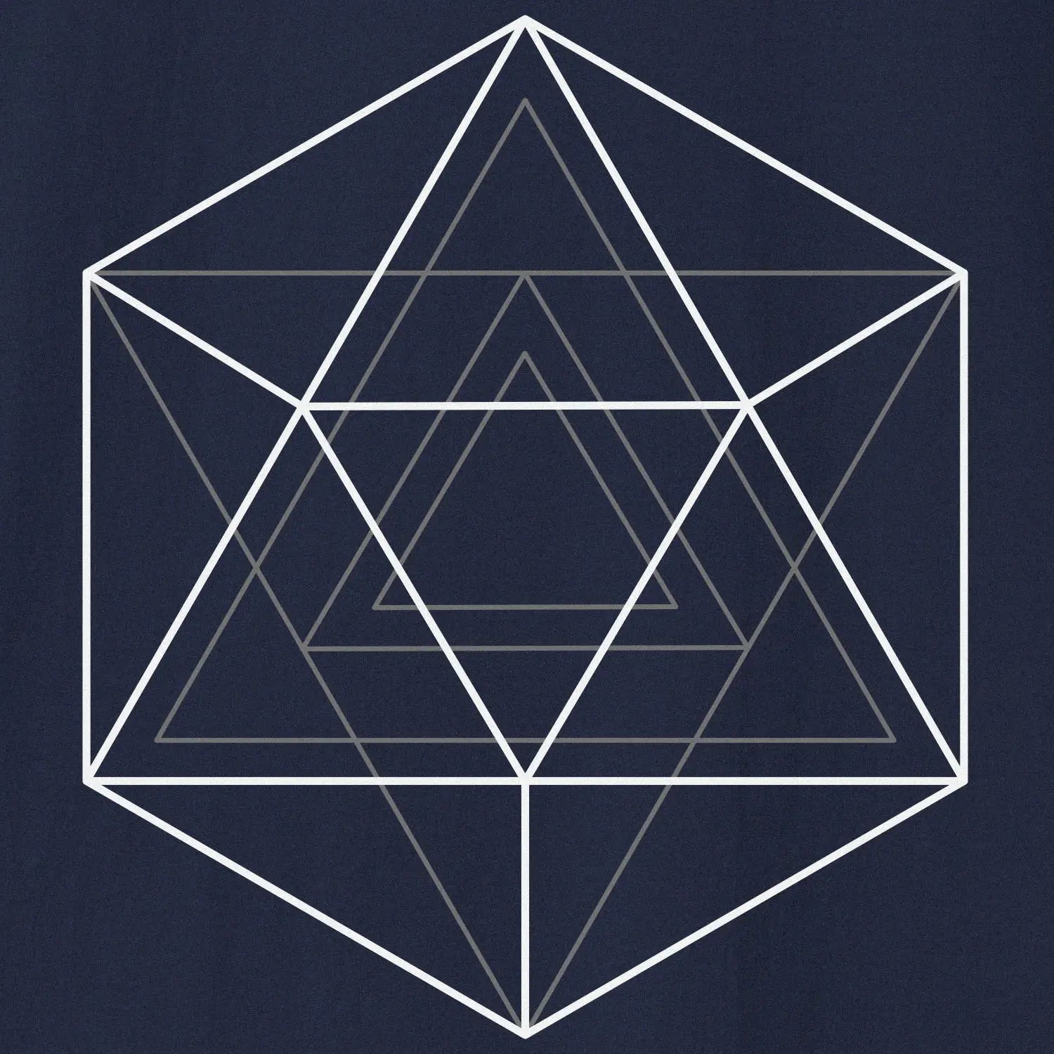 Xpress Your Passion Water | Divine Proportions T-Shirt